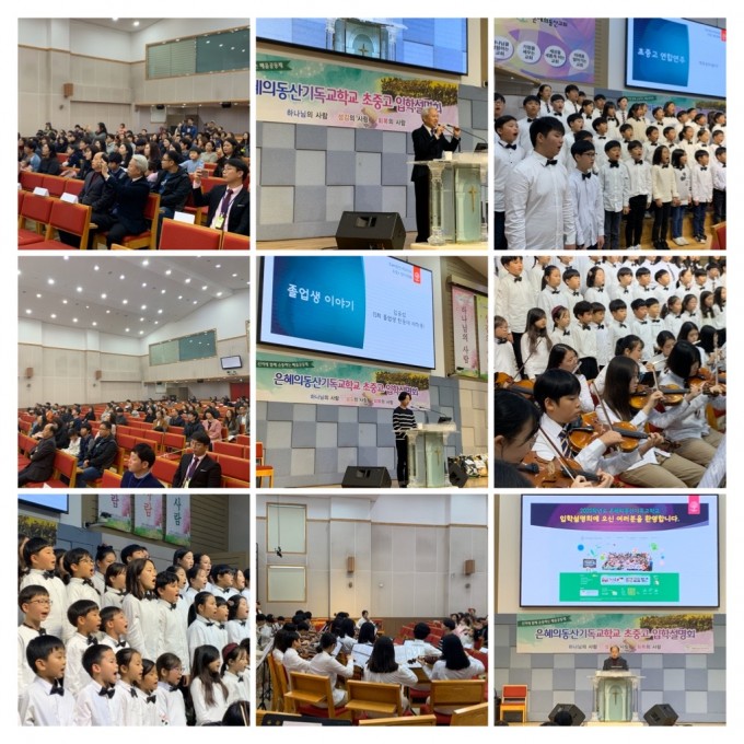 431CA8A4-8E86-4AB3-8880-0C64A8F2CC6E-COLLAGE.JPG